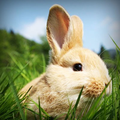 いつもやさしく人にふれられて